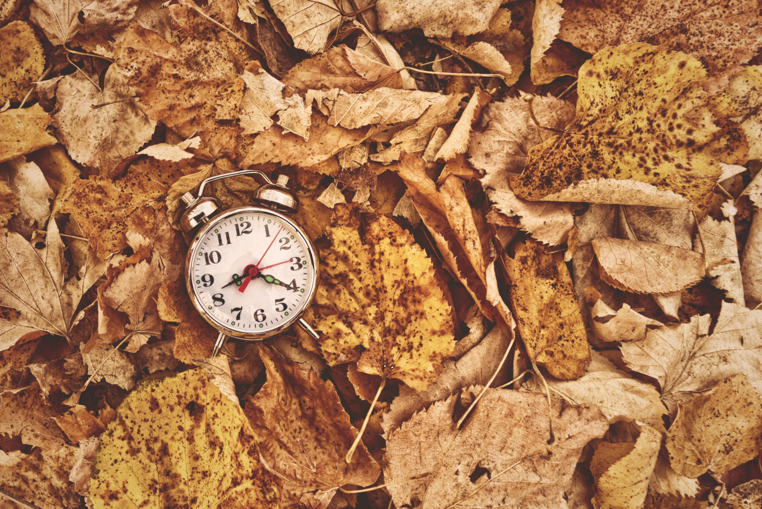 Tips for Adjusting to Seasonal Time Changes Hospice of the Piedmont